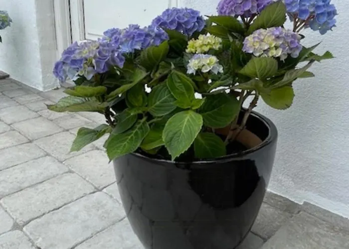 With Great Views On Langeland Holiday home Lokkeby